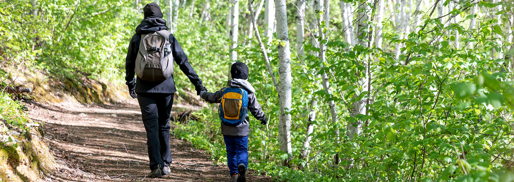 A parent and a child walking in the forest, holding hands