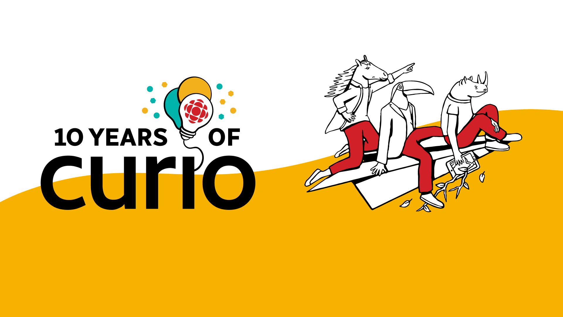 10 years of Curio